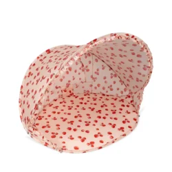 Palapine 1
