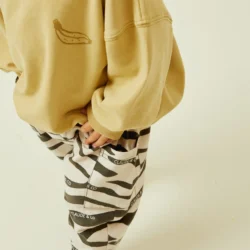 Zebra Kelnes 5