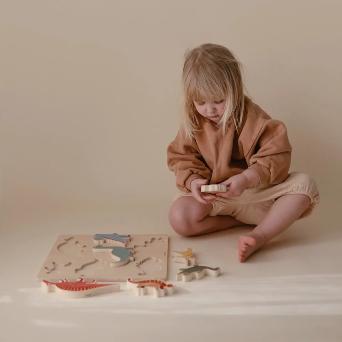 Dino Puzzle 5