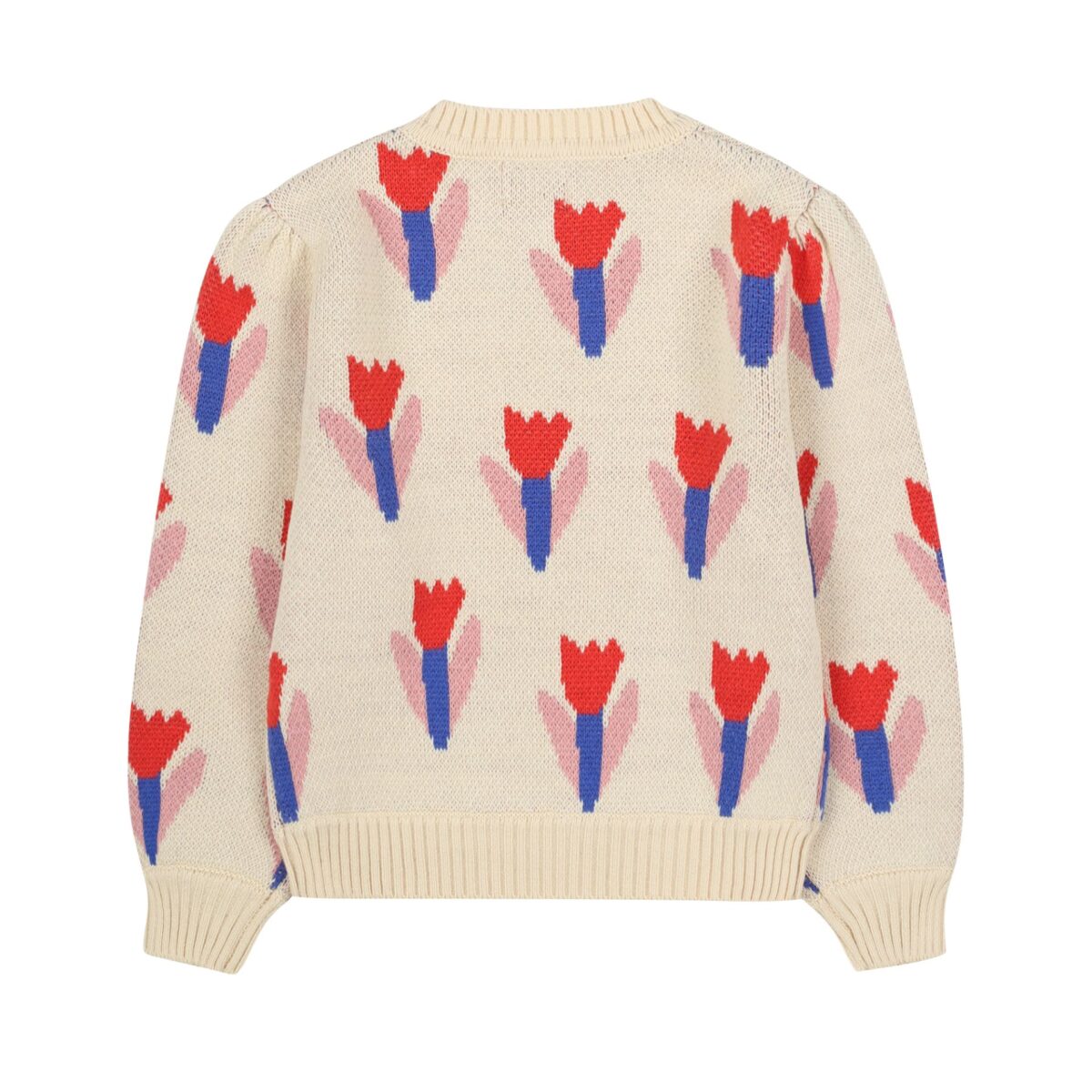 Mergaitiskas Megstinis Su Tulpemis