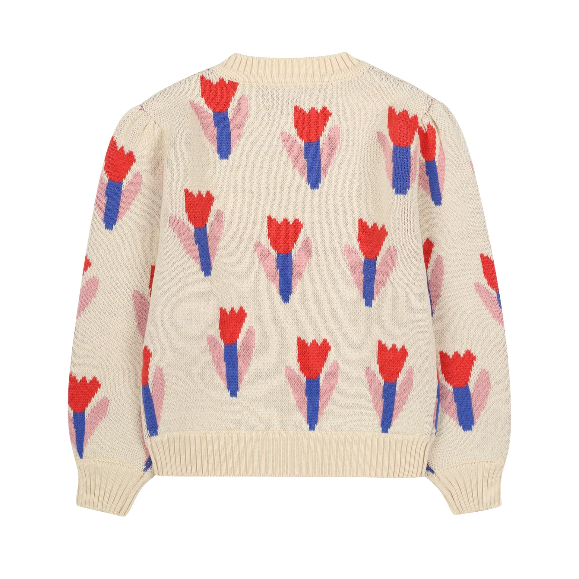 Mergaitiskas Megstinis Su Tulpemis