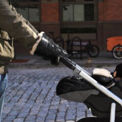 Pirstines Ant Vezimo Ziemai