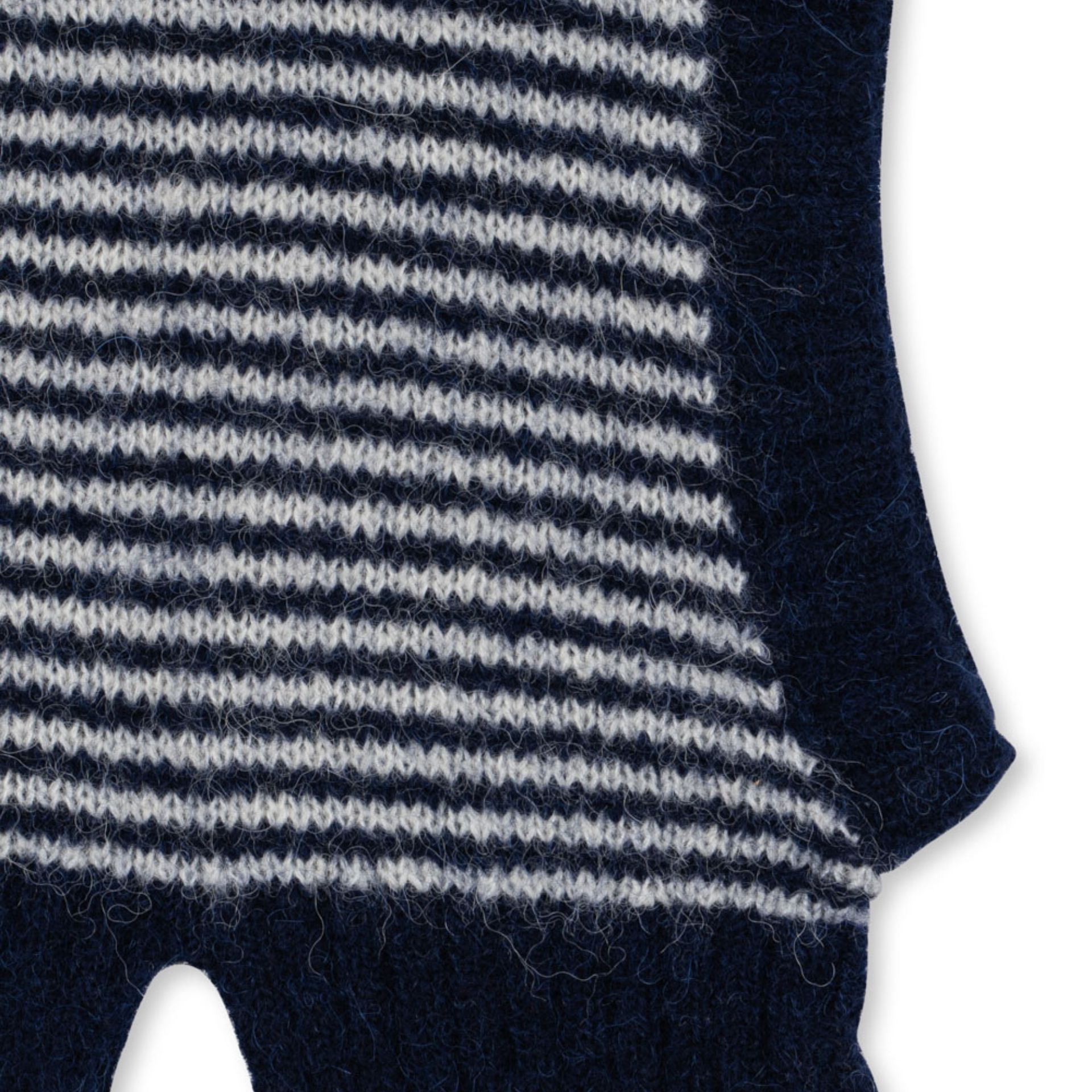 Salmukas Siltas Vilnonis