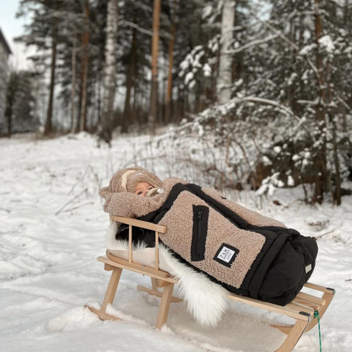 Siltas Zieminis Vokelis Ant Vezimo