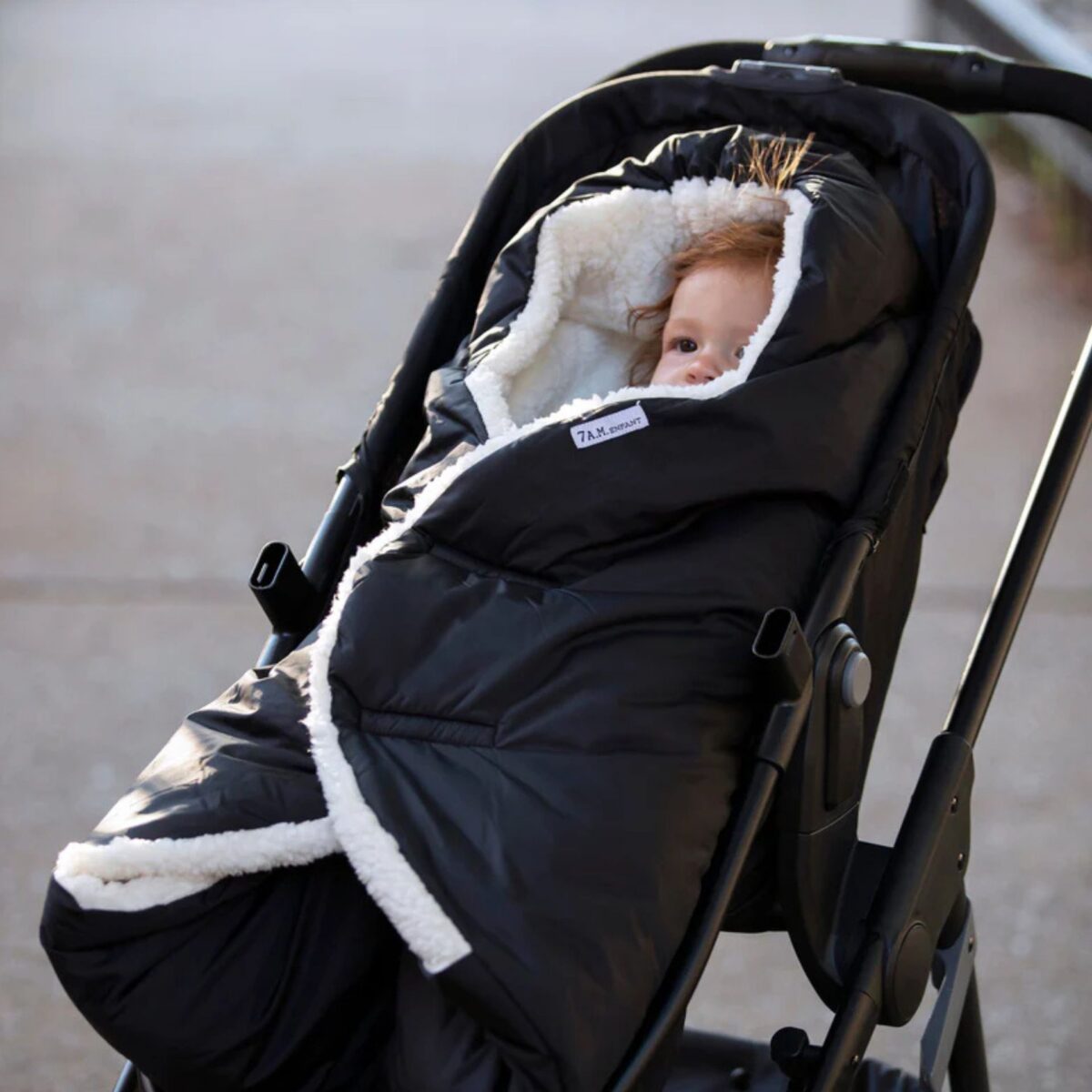 Vokelis Ziemimis Ant Vezimelio