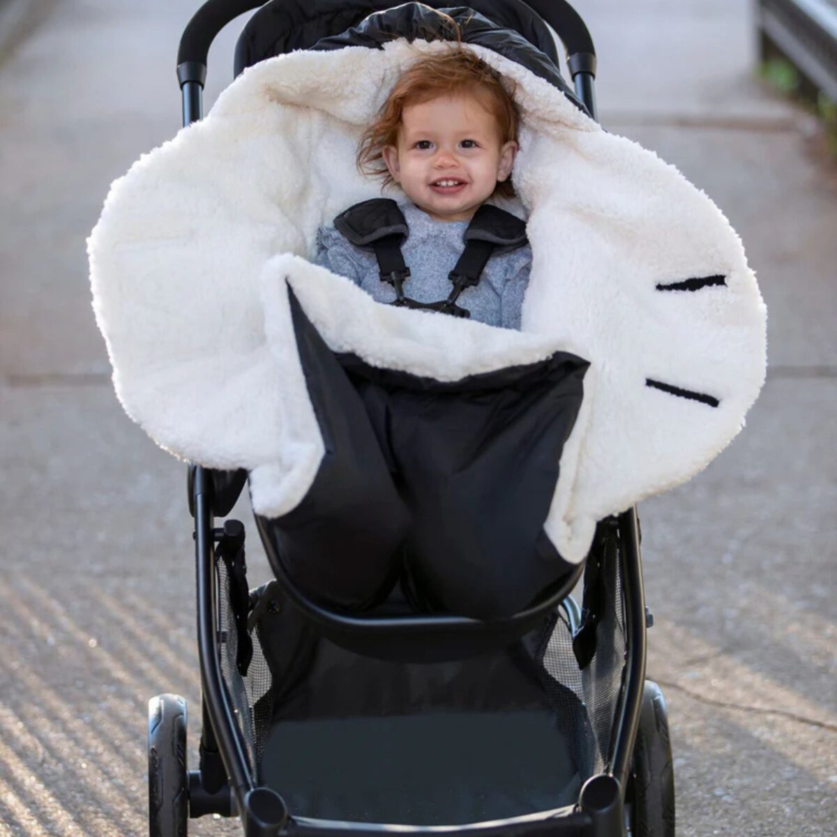 Zieminis Vokelis Juodas Su Kailiu Ant Vezimo