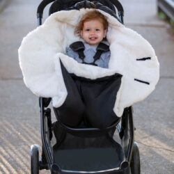 Zieminis Vokelis Juodas Su Kailiu Ant Vezimo