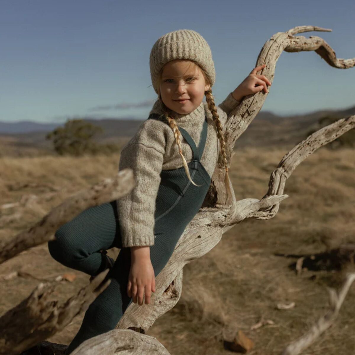 Silly Silas Pedklenes Melynos Su Vilna