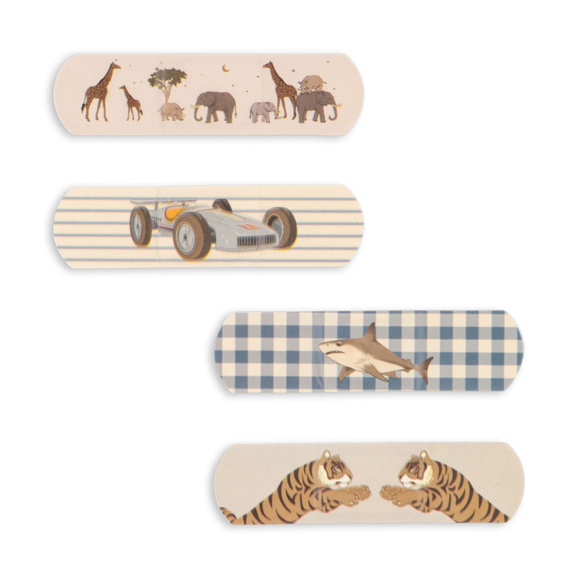 Pleistrai Berniukiski