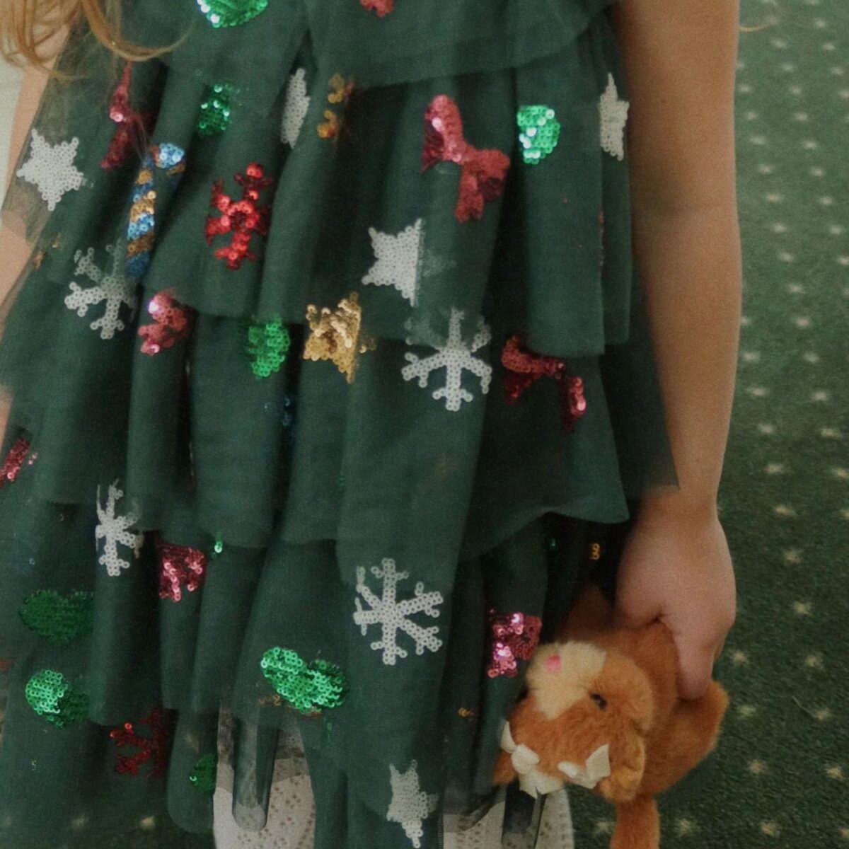 Pliusiniai Zaislai Konges