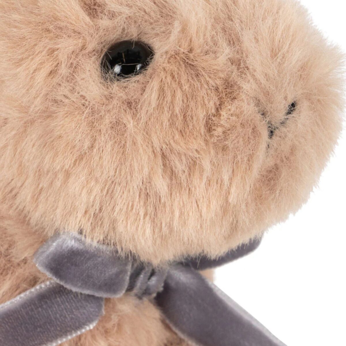 Pliusiniai Zaislai Konges Triusiukas