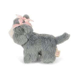 Pliusinis Kaciukas Konges