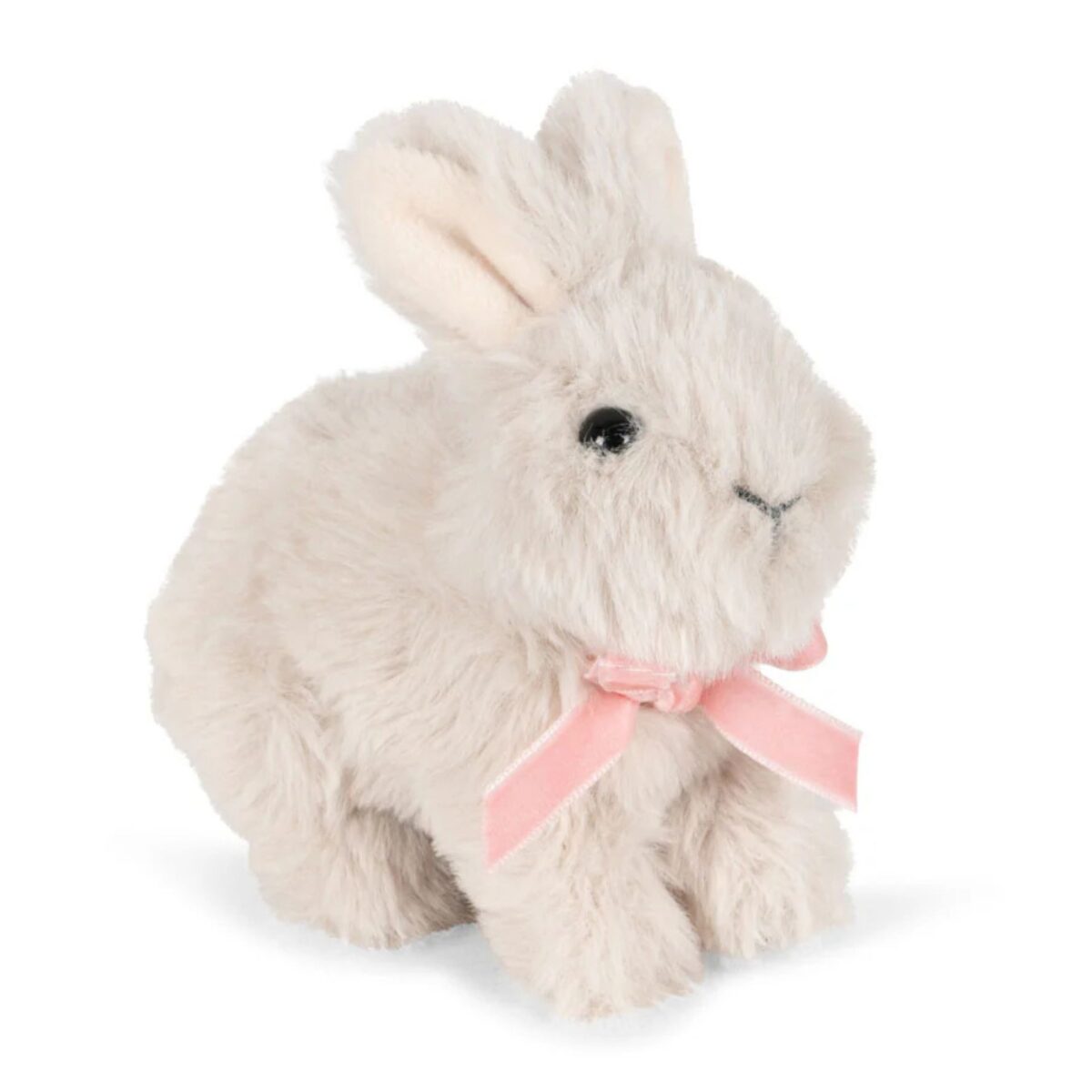 Pliusinis Triusiukas Konges