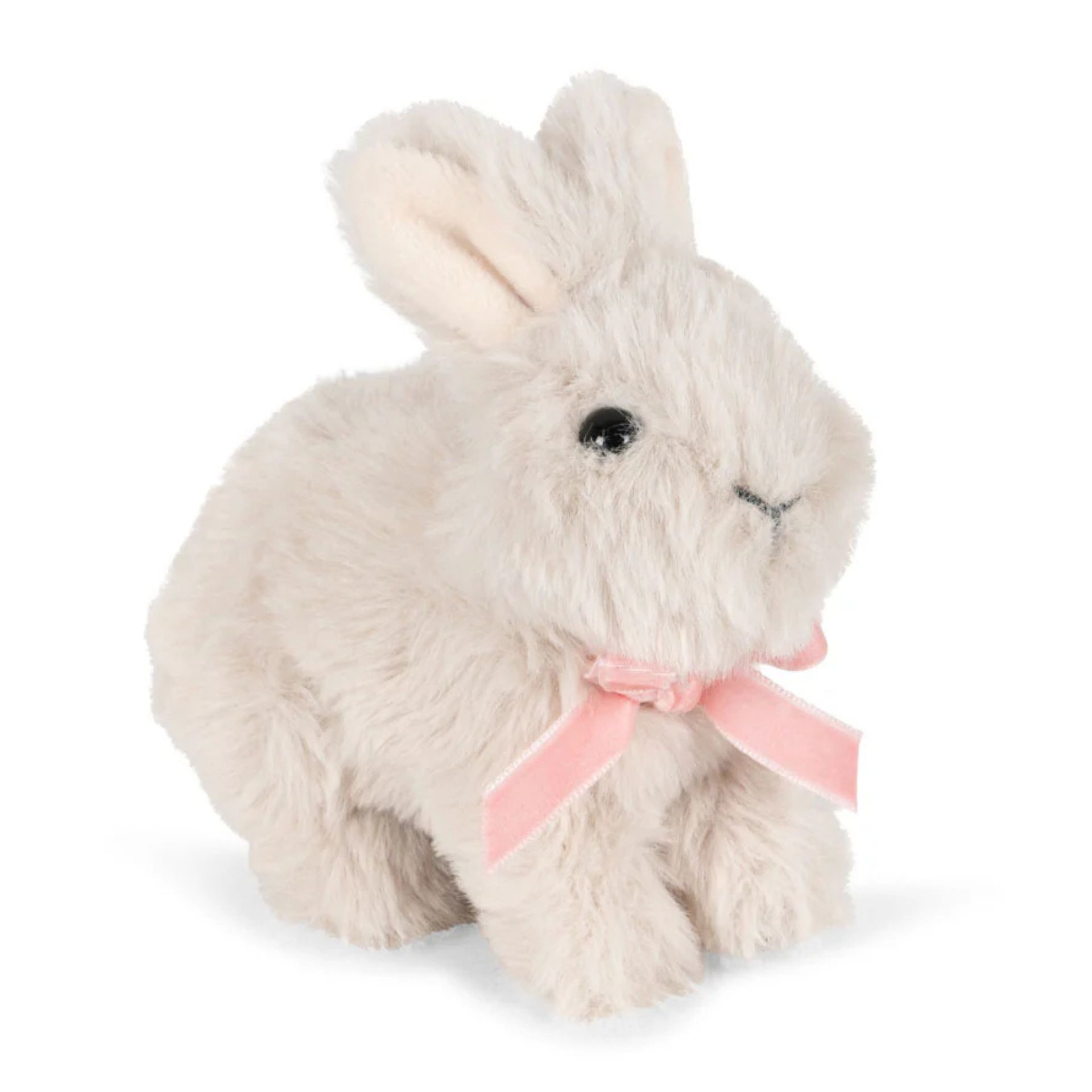 Pliusinis Triusiukas Konges