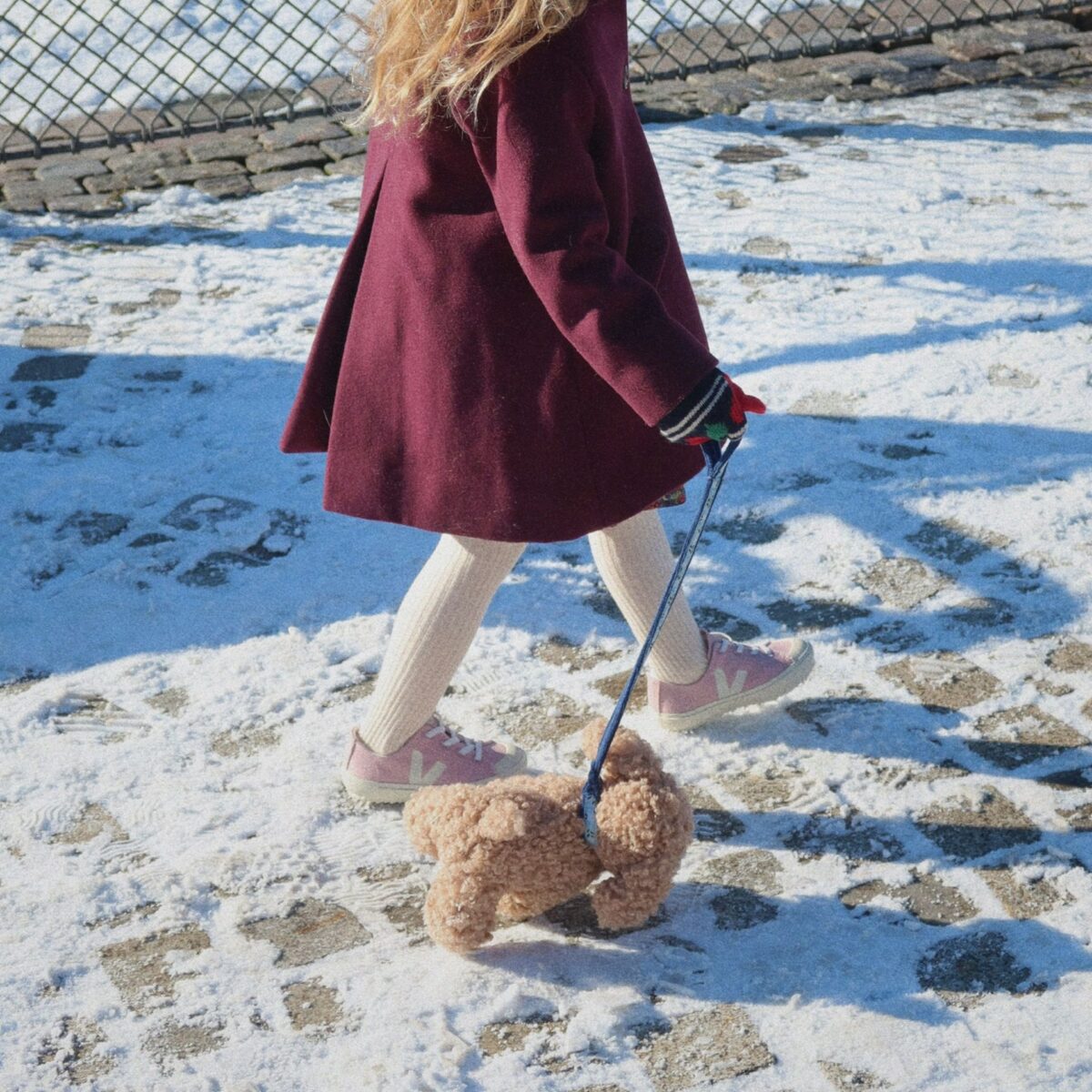 Pliusinis Zaislas Konges