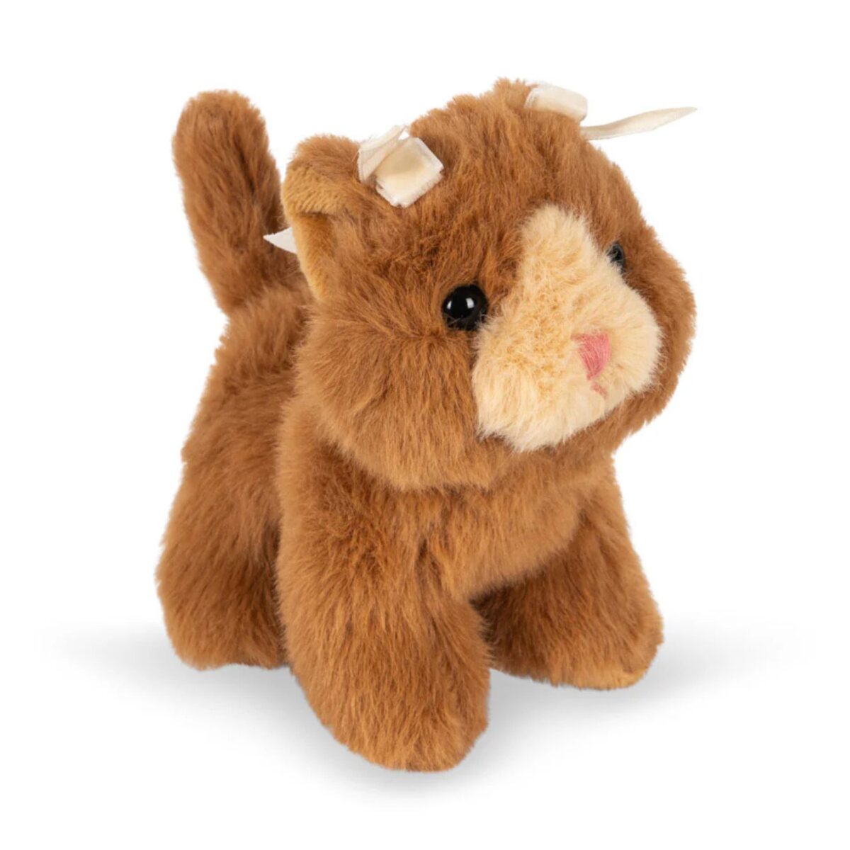 Pliusinis Zaisliukas Kaciukas Konges