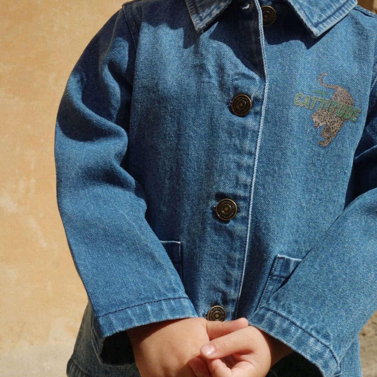 Dzinsofke Su Tigru Konges